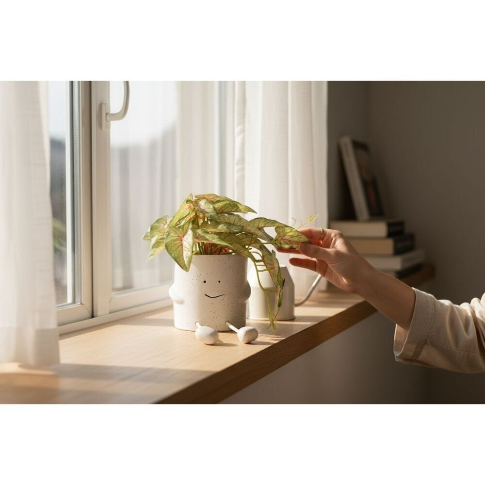 New Caladium Fake Shelf Plant Smiley Face Planter W/ Legs Room Home Decor